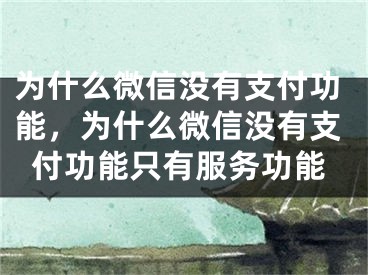 為什么微信沒有支付功能，為什么微信沒有支付功能只有服務(wù)功能