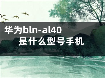 華為bln-al40是什么型號手機