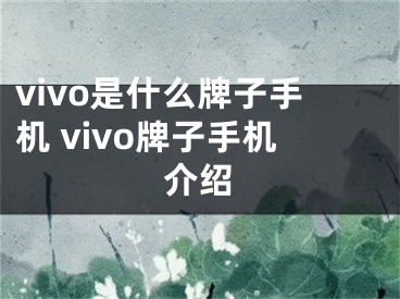 vivo是什么牌子手機(jī) vivo牌子手機(jī)介紹