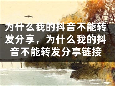 為什么我的抖音不能轉(zhuǎn)發(fā)分享，為什么我的抖音不能轉(zhuǎn)發(fā)分享鏈接