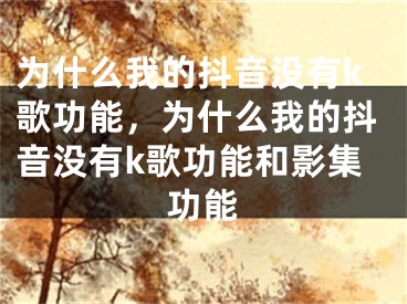 為什么我的抖音沒有k歌功能，為什么我的抖音沒有k歌功能和影集功能