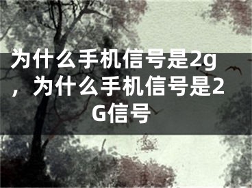 為什么手機信號是2g，為什么手機信號是2G信號