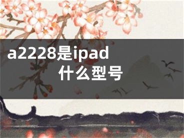 a2228是ipad什么型號