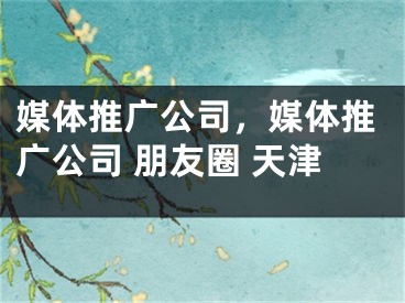 媒體推廣公司，媒體推廣公司 朋友圈 天津