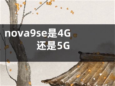 nova9se是4G還是5G