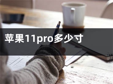 蘋果11pro多少寸