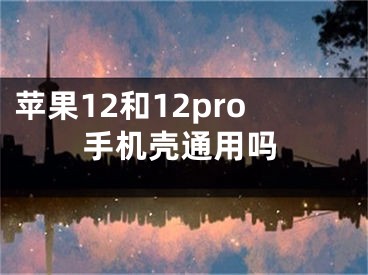 蘋果12和12pro手機殼通用嗎