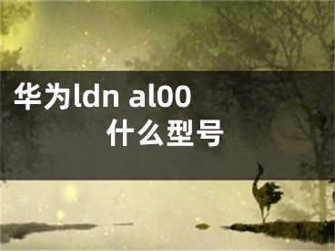 華為ldn al00什么型號(hào)