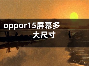 oppor15屏幕多大尺寸