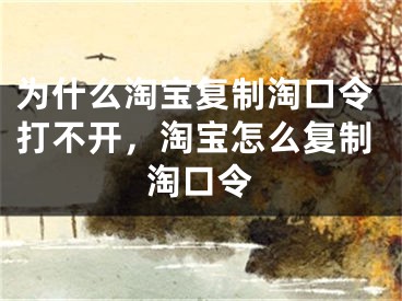 為什么淘寶復(fù)制淘口令打不開，淘寶怎么復(fù)制淘口令