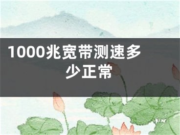 1000兆寬帶測速多少正常