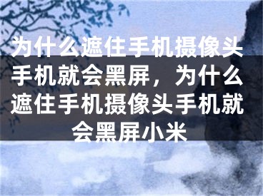 為什么遮住手機(jī)攝像頭手機(jī)就會(huì)黑屏，為什么遮住手機(jī)攝像頭手機(jī)就會(huì)黑屏小米