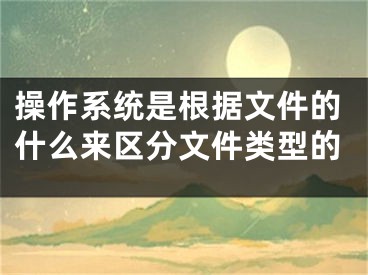 操作系統(tǒng)是根據(jù)文件的什么來區(qū)分文件類型的