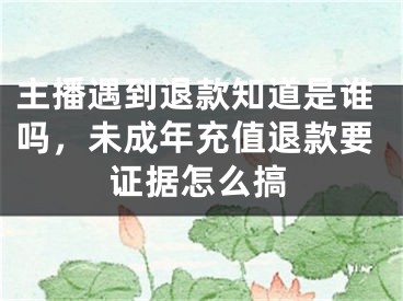 主播遇到退款知道是誰(shuí)嗎，未成年充值退款要證據(jù)怎么搞