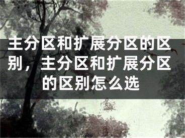 主分區(qū)和擴(kuò)展分區(qū)的區(qū)別，主分區(qū)和擴(kuò)展分區(qū)的區(qū)別怎么選