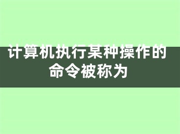 計(jì)算機(jī)執(zhí)行某種操作的命令被稱為