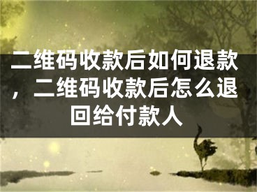 二維碼收款后如何退款，二維碼收款后怎么退回給付款人