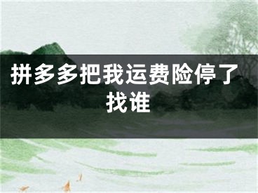 拼多多把我運(yùn)費(fèi)險停了找誰