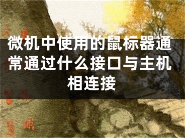 微機中使用的鼠標(biāo)器通常通過什么接口與主機相連接