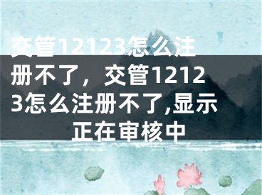 交管12123怎么注冊(cè)不了，交管12123怎么注冊(cè)不了,顯示正在審核中