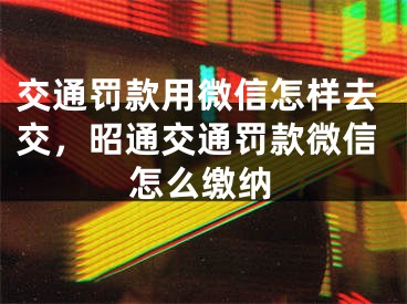 交通罰款用微信怎樣去交，昭通交通罰款微信怎么繳納