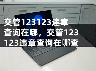 交管123123違章查詢在哪，交管123123違章查詢在哪查