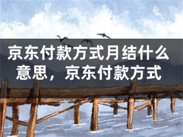 京東付款方式月結(jié)什么意思，京東付款方式