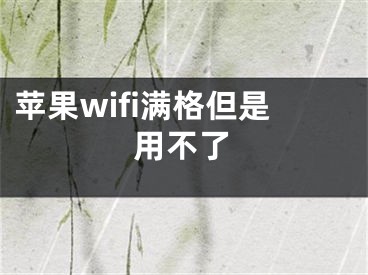 蘋果wifi滿格但是用不了