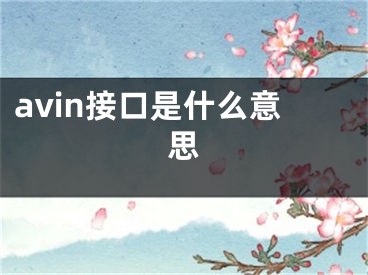 avin接口是什么意思