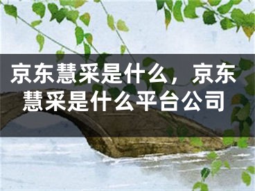 京東慧采是什么，京東慧采是什么平臺(tái)公司