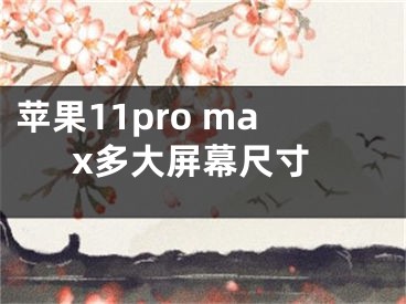 蘋果11pro max多大屏幕尺寸