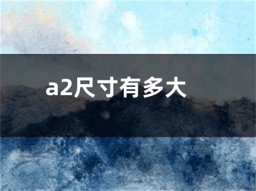 a2尺寸有多大