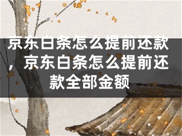 京東白條怎么提前還款，京東白條怎么提前還款全部金額