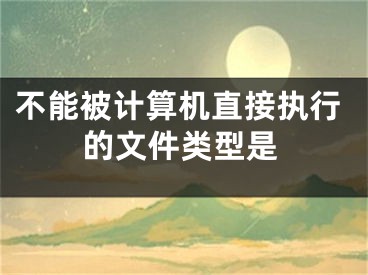 不能被計算機直接執(zhí)行的文件類型是