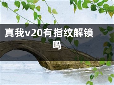 真我v20有指紋解鎖嗎