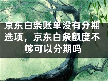 京東白條賬單沒(méi)有分期選項(xiàng)，京東白條額度不夠可以分期嗎