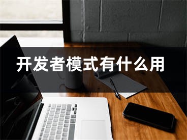 開發(fā)者模式有什么用