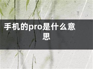 手機(jī)的pro是什么意思