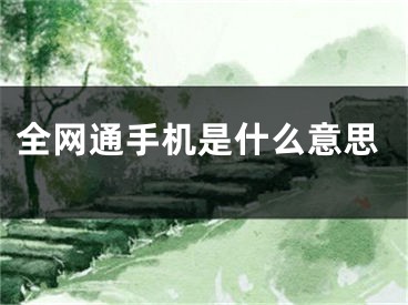 全網(wǎng)通手機(jī)是什么意思