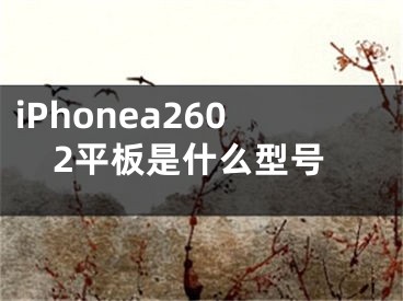 iPhonea2602平板是什么型號