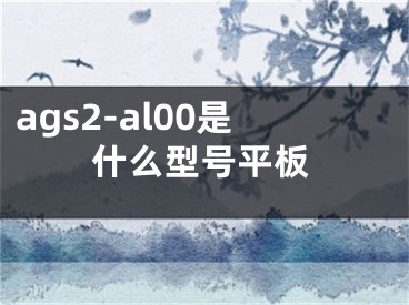 ags2-al00是什么型號平板