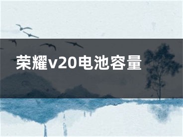 榮耀v20電池容量