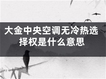 大金中央空調(diào)無(wú)冷熱選擇權(quán)是什么意思