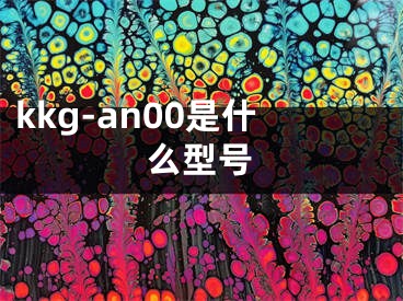 kkg-an00是什么型號(hào)