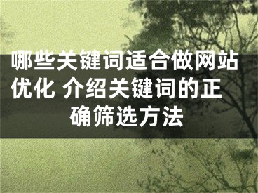 哪些關(guān)鍵詞適合做網(wǎng)站優(yōu)化 介紹關(guān)鍵詞的正確篩選方法