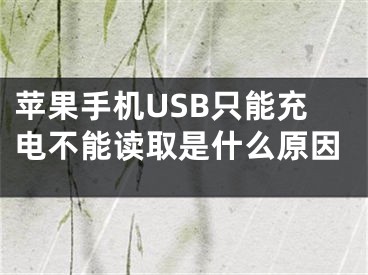 蘋果手機(jī)USB只能充電不能讀取是什么原因