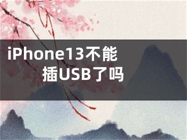 iPhone13不能插USB了嗎