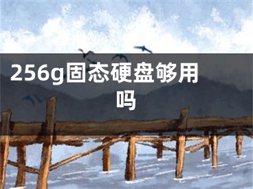 256g固態(tài)硬盤(pán)夠用嗎