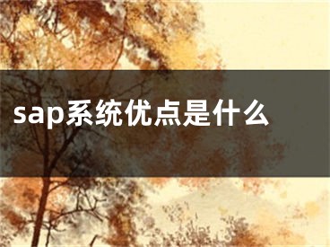 sap系統(tǒng)優(yōu)點(diǎn)是什么