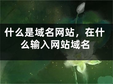 什么是域名網(wǎng)站，在什么輸入網(wǎng)站域名